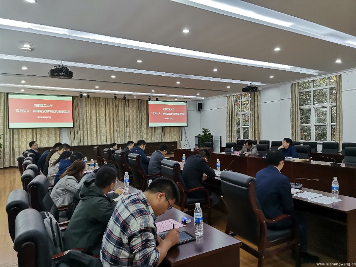 学校召开“双带头人”教师党支部书记代表座谈会 学校召开“双带头人”教师党支部书记代表座谈会