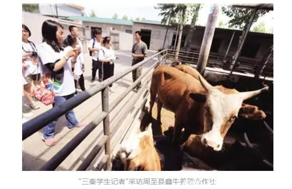 TIM截图20190621091420